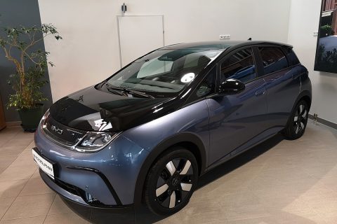 BYD Dolphin 60,4 kWh Design Österreich Paket
