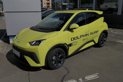 BYD Dolphin SURF