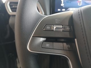 BYD Atto2 45,12 kWh Boost Österreich Paket